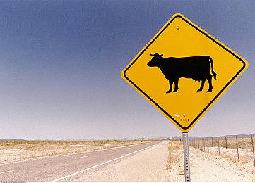 合作恐怖冒险《R.E.P.O.》更新细节 攀墙功能即将实装